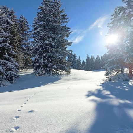 Ferien In Der Region Lenzerheide Daire Dış mekan fotoğraf