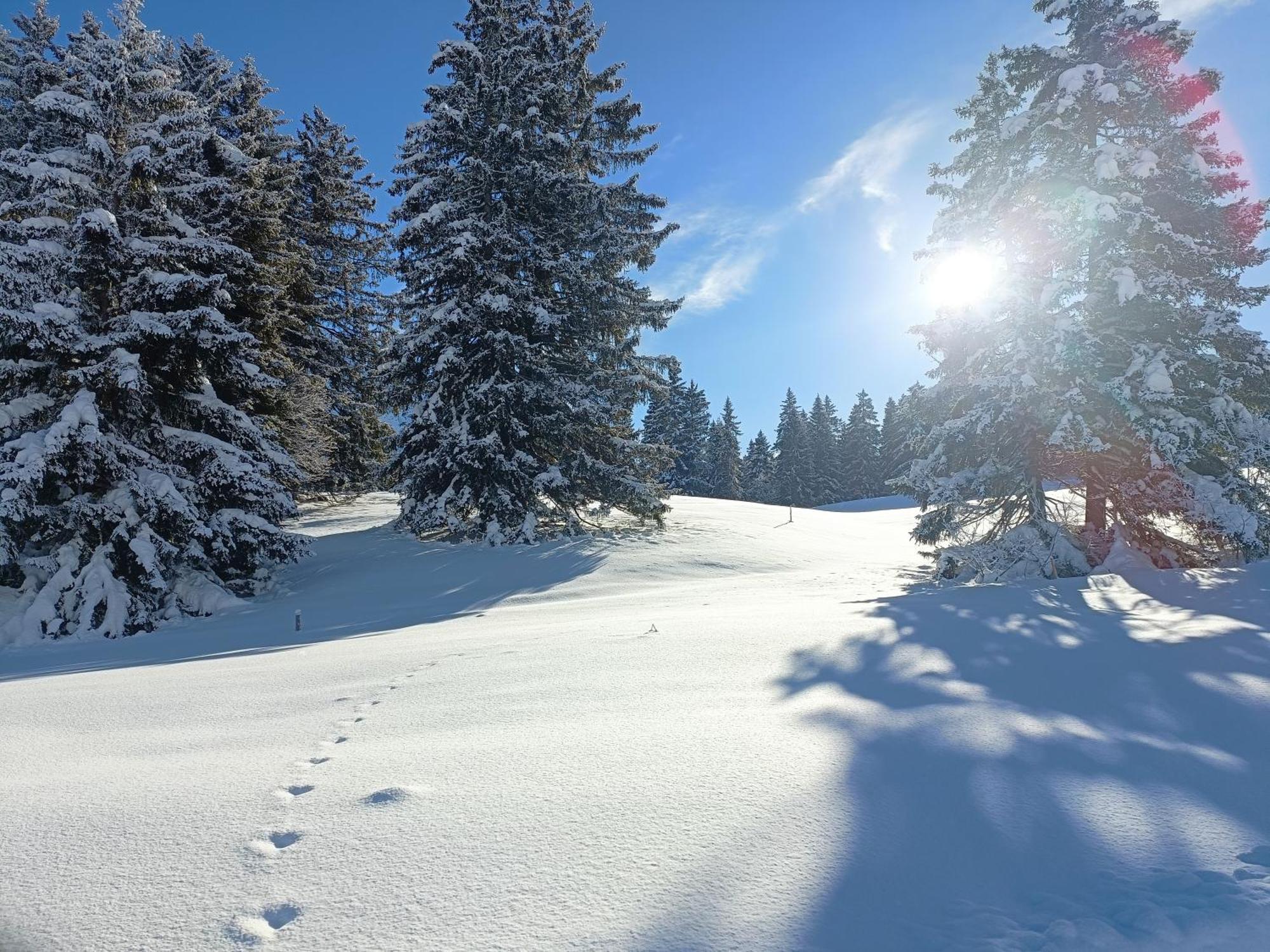 Ferien In Der Region Lenzerheide Daire Dış mekan fotoğraf